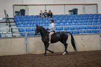 2019 Morgan Horse Show - Aug 30, 2019 - 31027