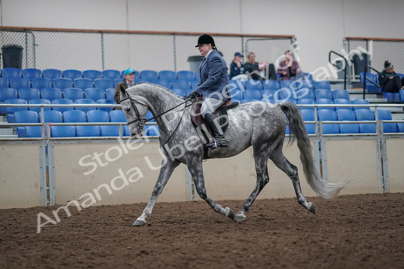 2019 Morgan Horse Show - Aug 31, 2019 - 14882