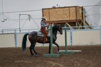 2020 - AB Morgan Horse - Fri, Sept 04 - 00045