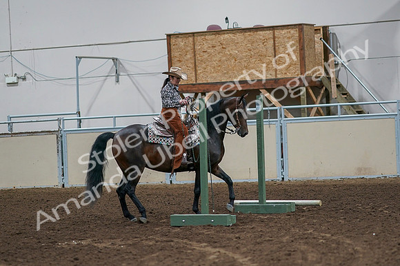 2020 - AB Morgan Horse - Fri, Sept 04 - 00045