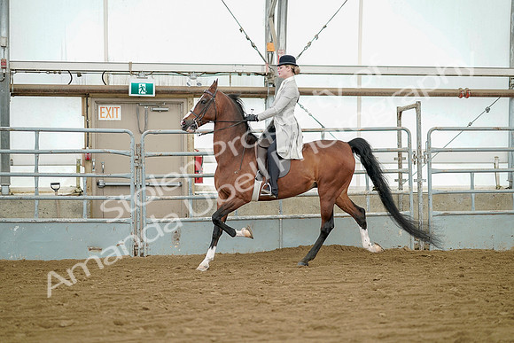 July 20, 2019 - 07636