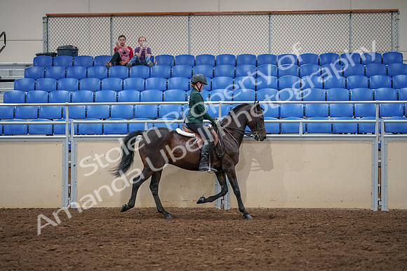2020 - AB Morgan Horse - Sat, Sept 05 - 05055