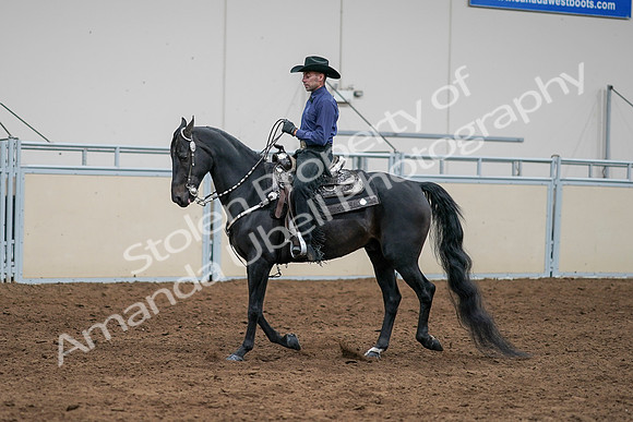 2020 - AB Morgan Horse - Sun, Sept 06 - 07652