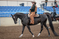 2019 Morgan Horse Show - Aug 31, 2019 - 06021