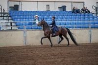 2019 Morgan Horse Show - Sept 01, 2019 - 12742