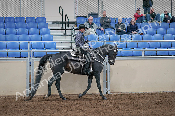 2020 - AB Morgan Horse - Fri, Sept 04 - 08489
