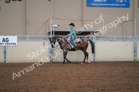 2019 Morgan Horse Show - Aug 30, 2019 - 16805