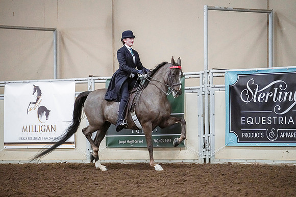 Spring Fling - Saturday - April 20, 2019  -  04150