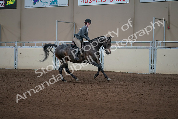 2019 Morgan Horse Show - Sept 01, 2019 - 11111