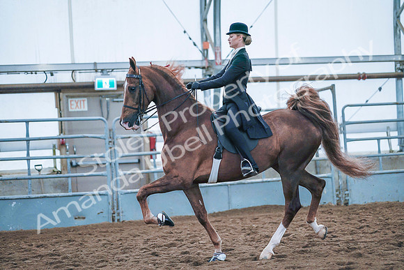 July 20, 2019 - 24003