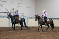 2020 - AB Morgan Horse - Sat, Sept 05 - 05650