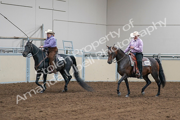 2020 - AB Morgan Horse - Sat, Sept 05 - 05650