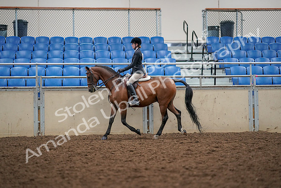 2019 Morgan Horse Show - Aug 30, 2019 - 23147