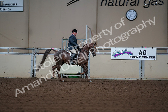 2019 Morgan Horse Show - Aug 30, 2019 - 17651