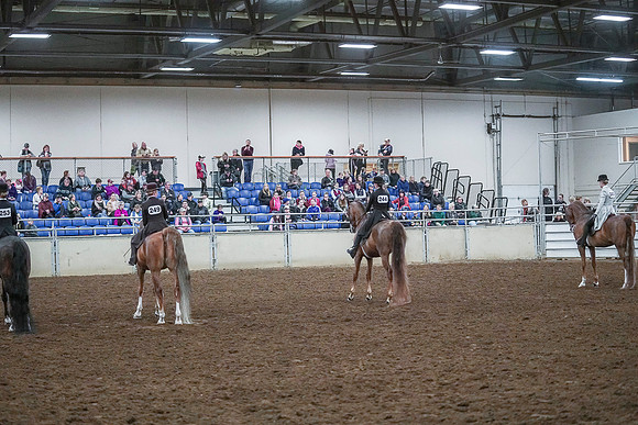 Spring Fling - Saturday - April 20, 2019  -  00587