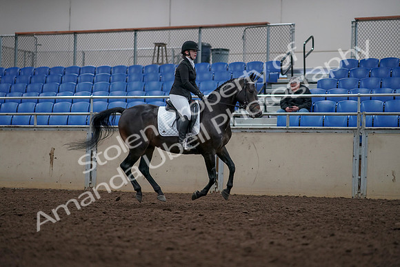 2019 Morgan Horse Show - Aug 31, 2019 - 16748