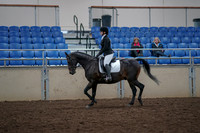 2019 Morgan Horse Show - Aug 31, 2019 - 16497