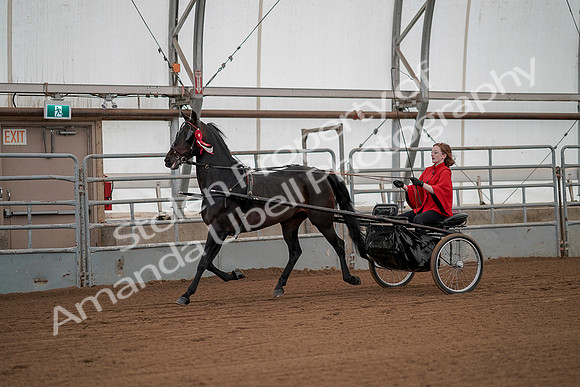 July 20, 2019 - 00302