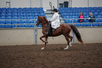 2019 Morgan Horse Show - Aug 31, 2019 - 17867