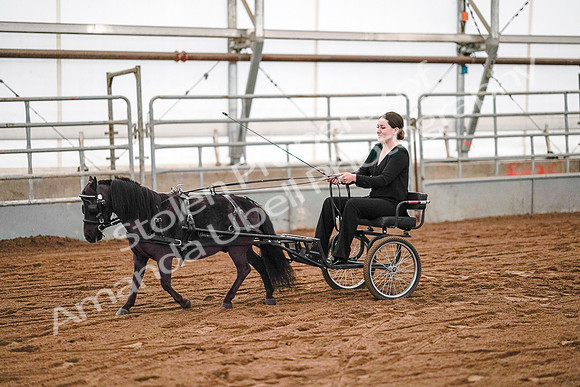 July 19, 2019 - 7006