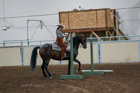 2020 - AB Morgan Horse - Fri, Sept 04 - 00044