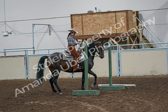 2020 - AB Morgan Horse - Fri, Sept 04 - 00044