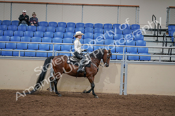 2020 - AB Morgan Horse - Fri, Sept 04 - 08452
