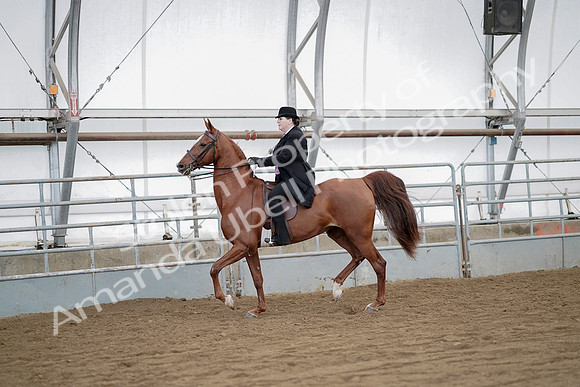 July 21, 2019 - 10465