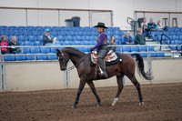 2019 Morgan Horse Show - Aug 31, 2019 - 10550