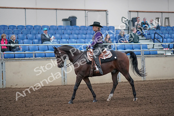 2019 Morgan Horse Show - Aug 31, 2019 - 10550