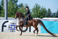 147 - HA Eng Pl Open