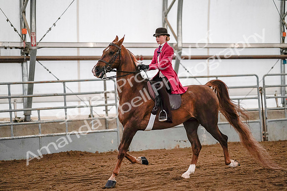 July 19, 2019 - 8939