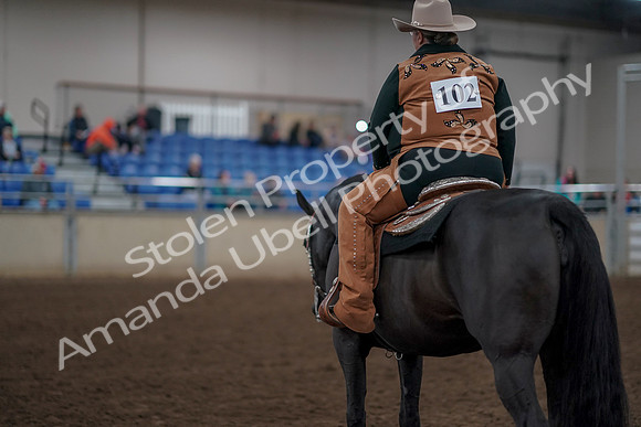 2019 Morgan Horse Show - Aug 31, 2019 - 06246