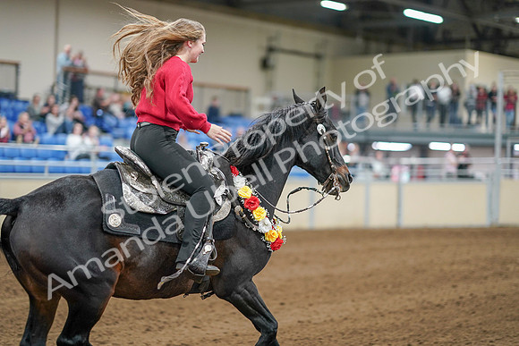 2020 - AB Morgan Horse - Sat, Sept 05 - 10581