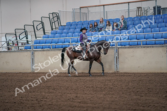 2019 Morgan Horse Show - Aug 31, 2019 - 10774
