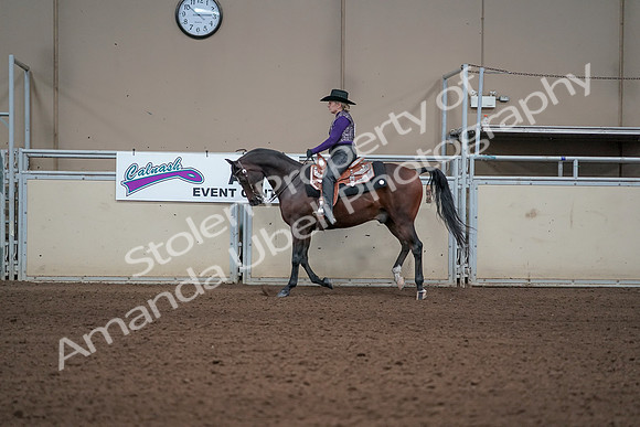 2019 Morgan Horse Show - Aug 31, 2019 - 10597