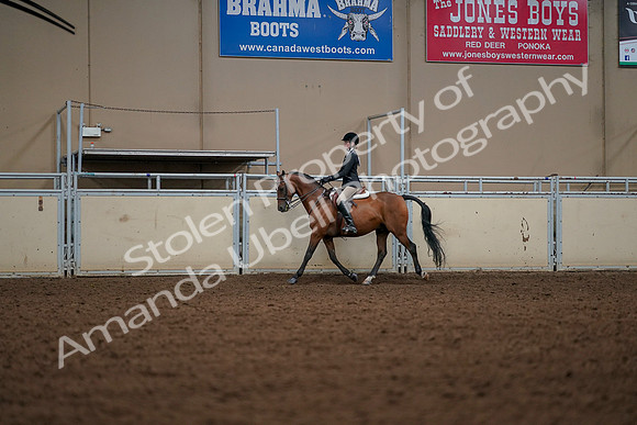 2019 Morgan Horse Show - Aug 30, 2019 - 23277