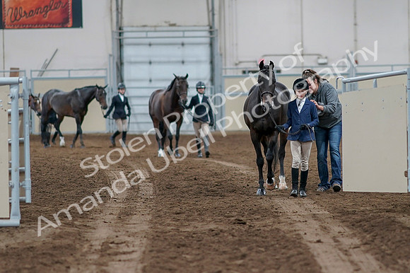 2020 - AB Morgan Horse - Fri, Sept 04 - 00719