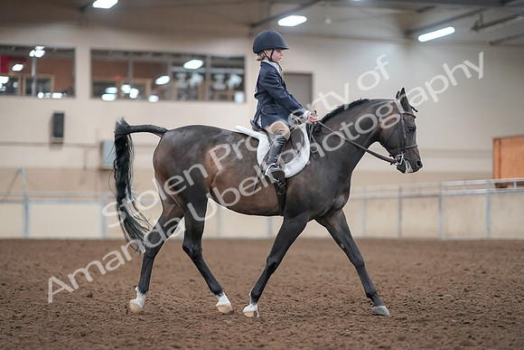 2019 Morgan Horse Show - Aug 31, 2019 - 19673