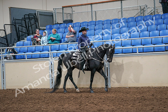 2020 - AB Morgan Horse - Sun, Sept 06 - 07526