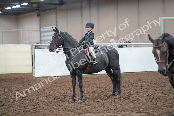 2019 Morgan Horse Show - Aug 31, 2019 - 19724