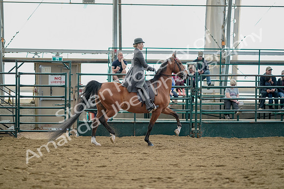 July 21, 2019 - 01846