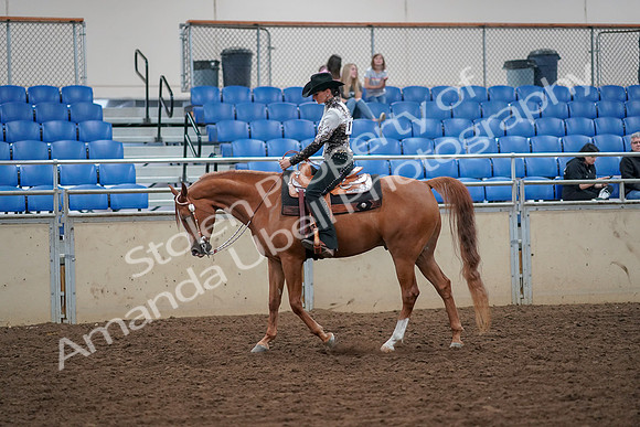 2019 Morgan Horse Show - Aug 30, 2019 - 16724