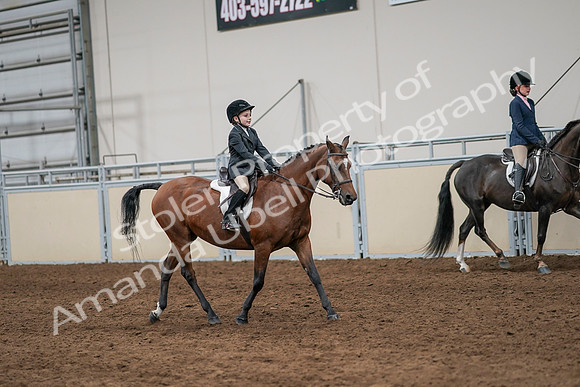 2020 - AB Morgan Horse - Sun, Sept 06 - 07995