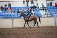 2019 Morgan Horse Show - Aug 31, 2019 - 21373