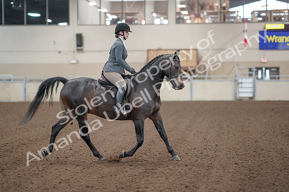 2019 Morgan Horse Show - Sept 01, 2019 - 11022