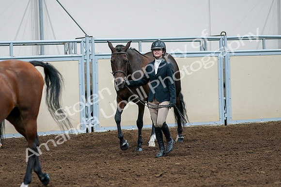 2020 - AB Morgan Horse - Fri, Sept 04 - 00866