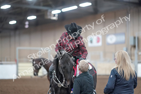 2019 Morgan Horse Show - Aug 31, 2019 - 10802