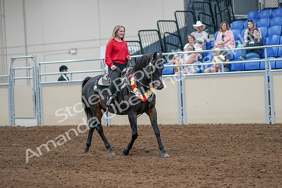 2020 - AB Morgan Horse - Sat, Sept 05 - 10502