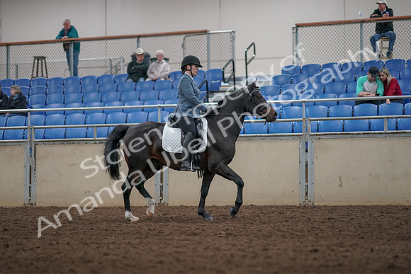 2019 Morgan Horse Show - Aug 31, 2019 - 07440